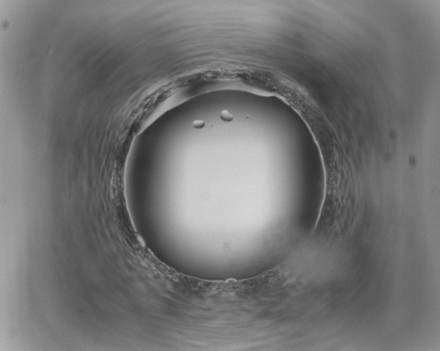 X0000066520773200603241335