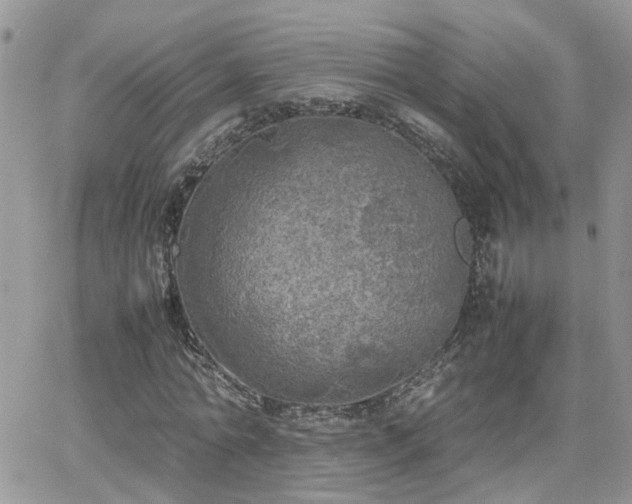 X0000066520774200603241335