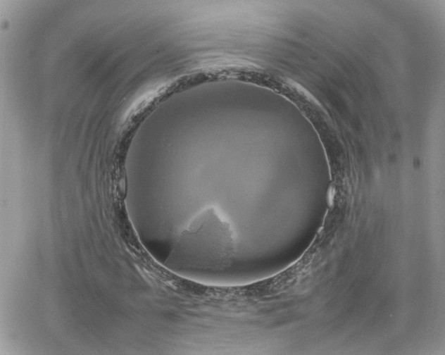 X0000066520775200603241335