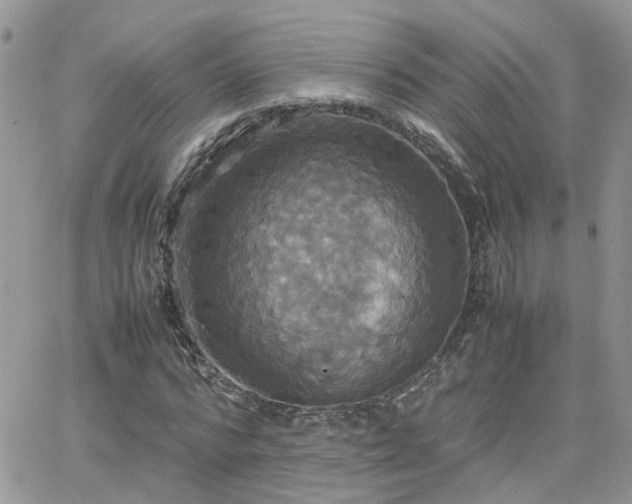 X0000066520776200603241335