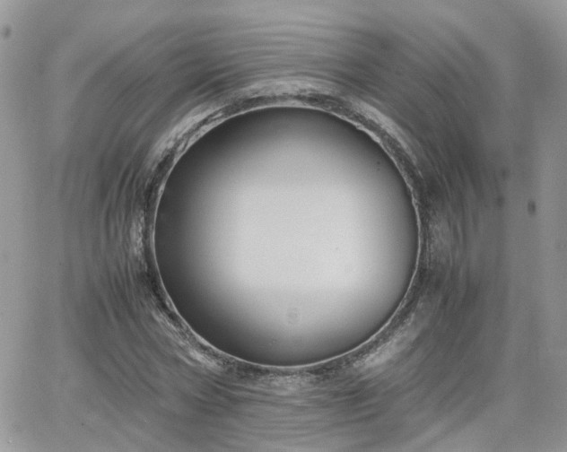 X0000066520778200603241335