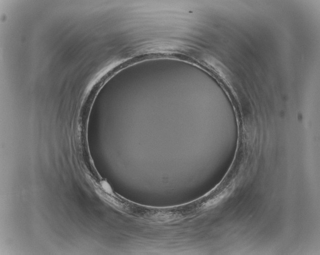 X0000066520779200603241335