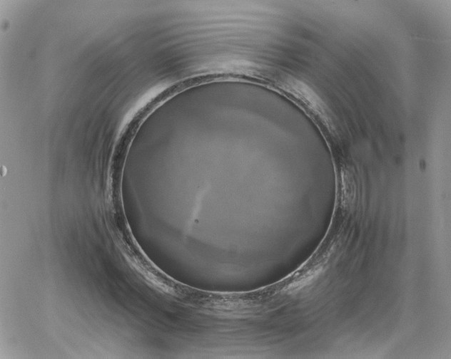 X0000066520780200603241335