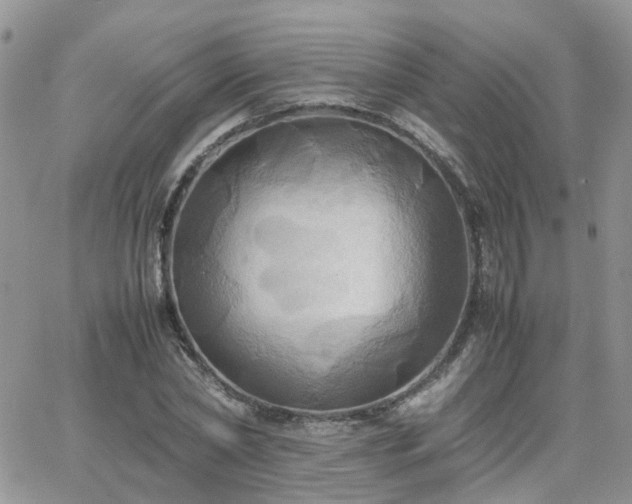 X0000066520782200603241335