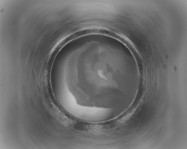 X0000066520783200603241335