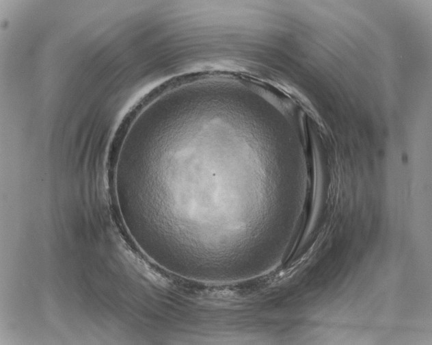 X0000066520784200603241335