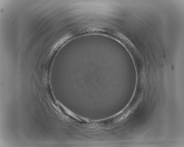 X0000066520785200603241335