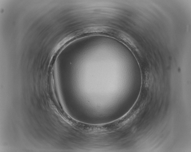 X0000066520786200603241335