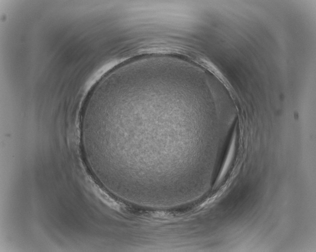 X0000066520787200603241335