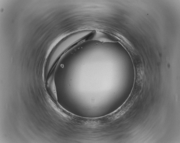 X0000066520788200603241335