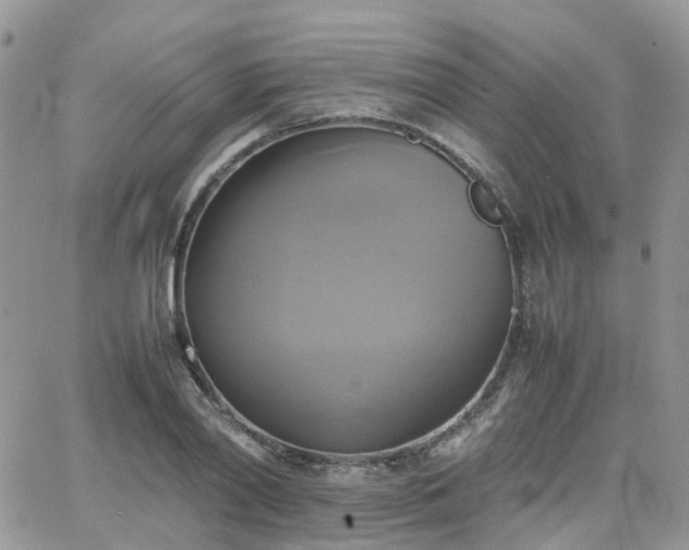 X0000066520790200603241335