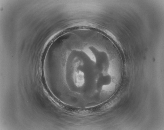 X0000066520791200603241335