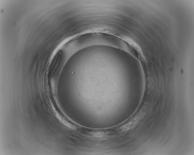 X0000066520792200603241335