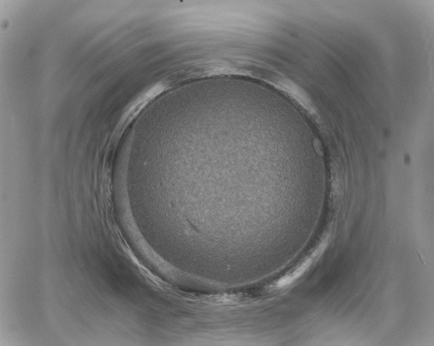 X0000066520793200603241335