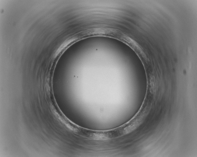 X0000066520794200603241335