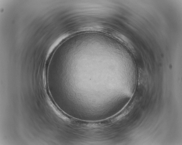 X0000066520796200603241335