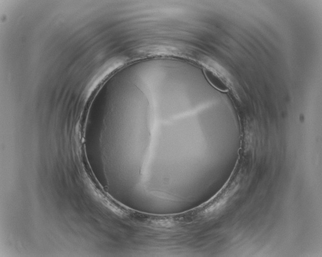 X0000066520798200603241335