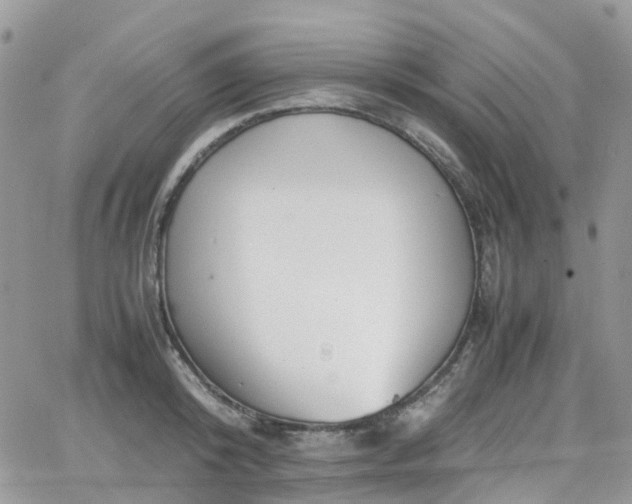 X0000066520800200603241335