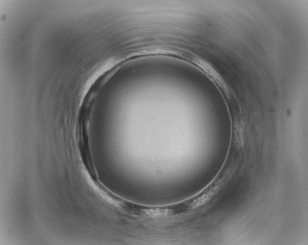 X0000066520805200603241335