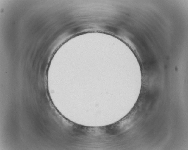 X0000066520807200603241335