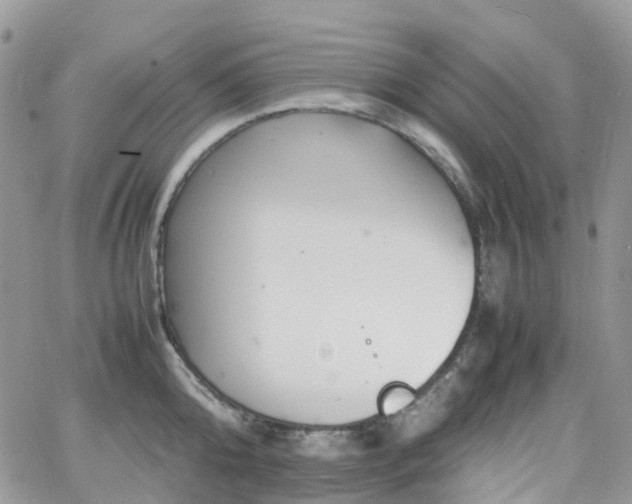 X0000066520808200603241335