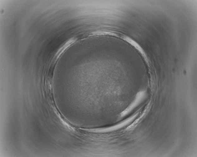 X0000066520809200603241335