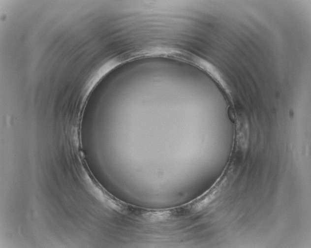 X0000066520810200603241335