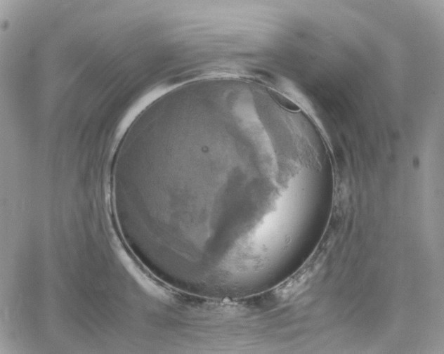 X0000066520811200603241335