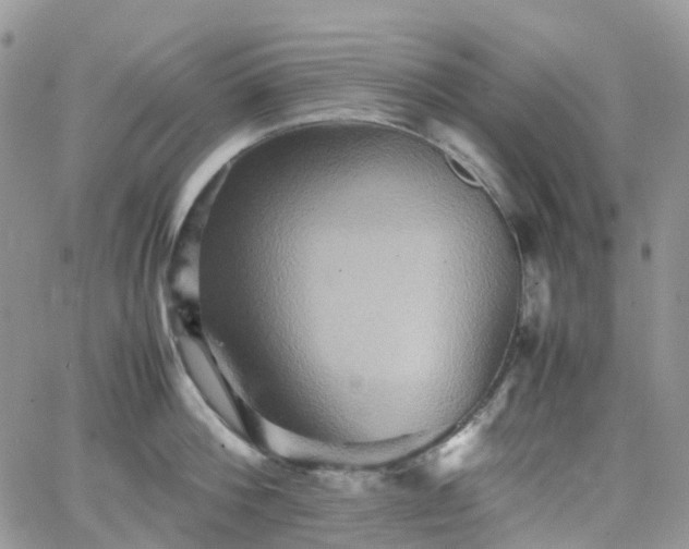 X0000066520812200603241335