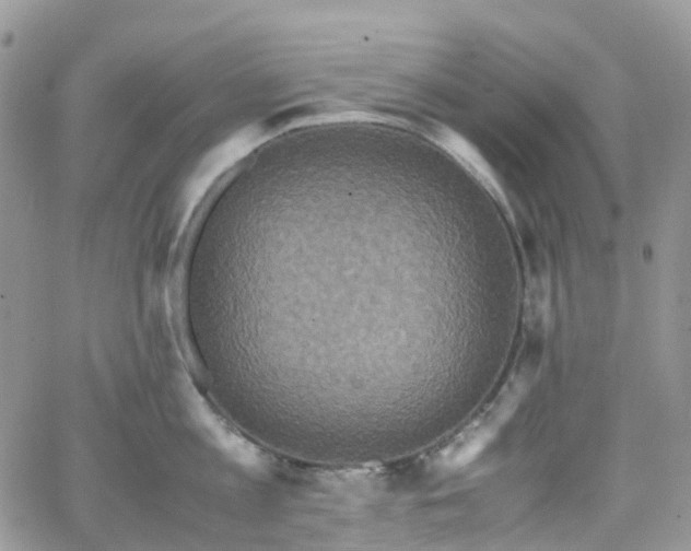 X0000066520813200603241335