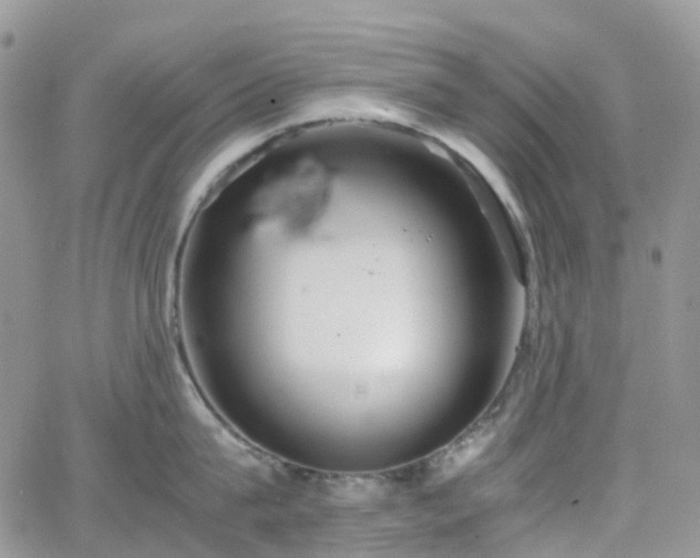 X0000066520815200603241335