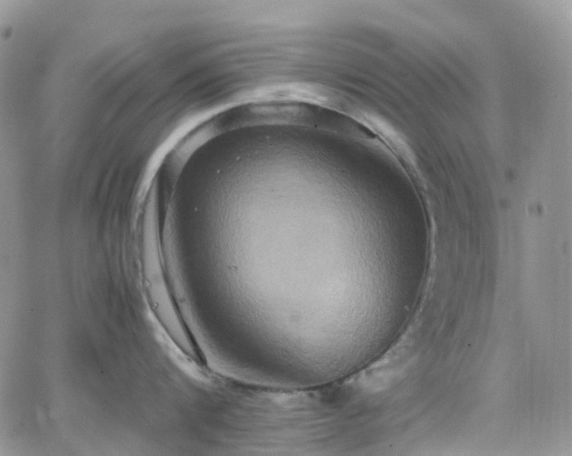 X0000066520816200603241335