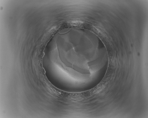 X0000066520817200603241334