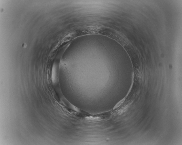 X0000066520818200603241334