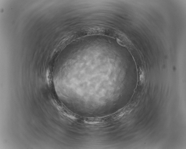 X0000066520819200603241334