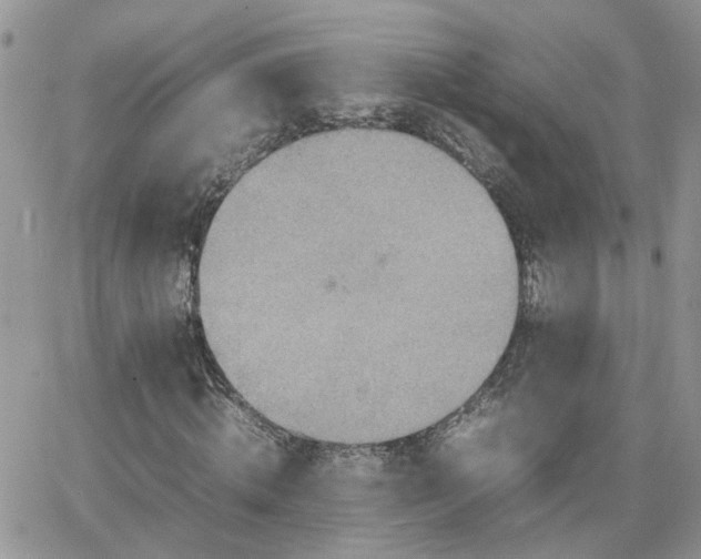 X0000066520820200603241334