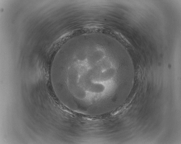 X0000066520821200603241334