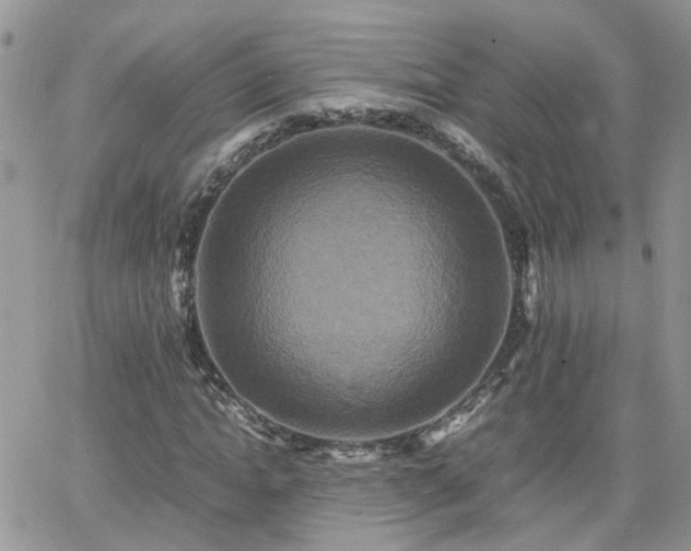 X0000066520822200603241334