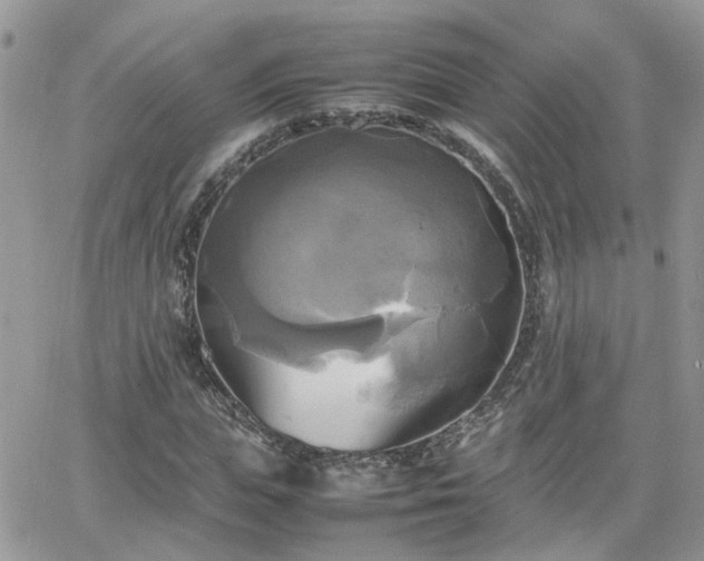 X0000066520823200603241334