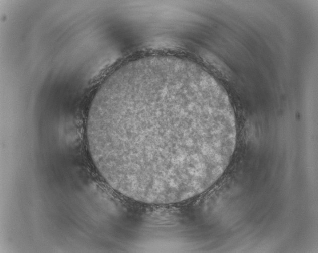 X0000066520824200603241334