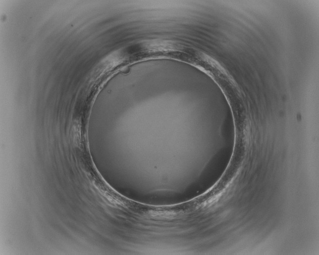 X0000066520825200603241334