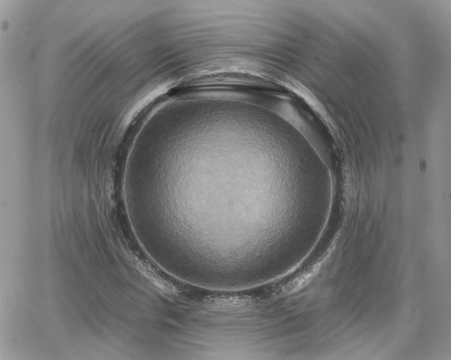 X0000066520826200603241334