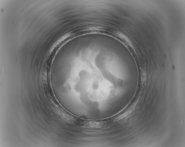 X0000066520827200603241334