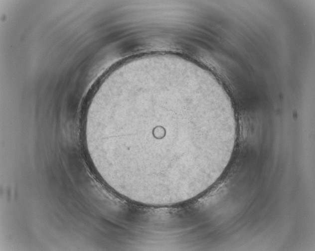 X0000066520828200603241334