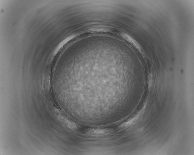 X0000066520829200603241334