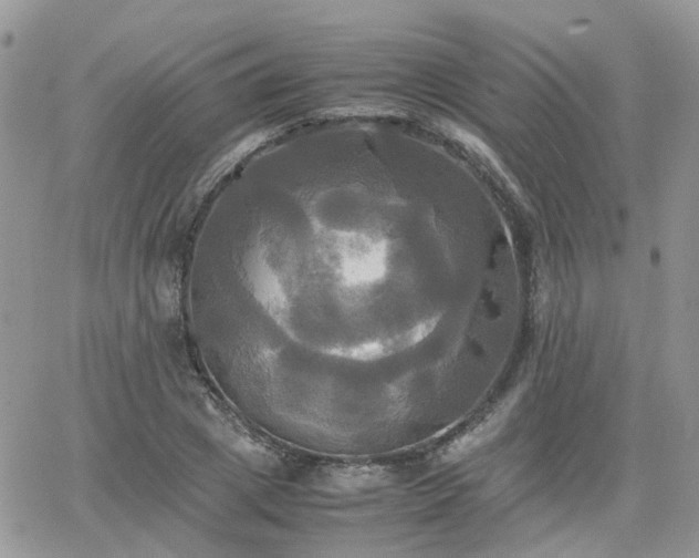 X0000066520833200603241334