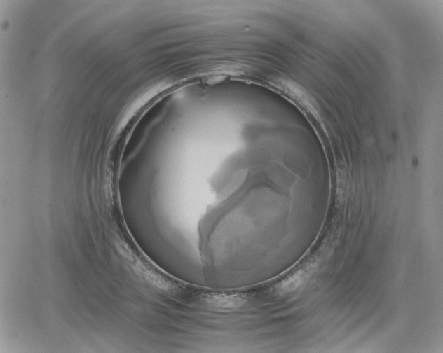 X0000066520835200603241334