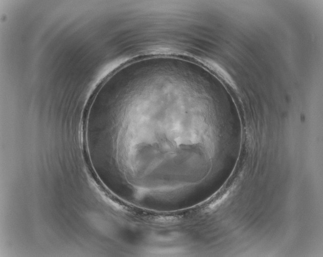 X0000066520839200603241334