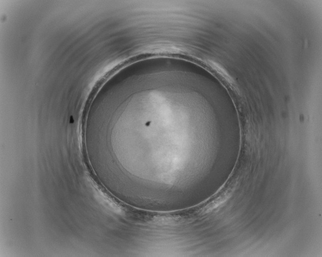 X0000066520840200603241334