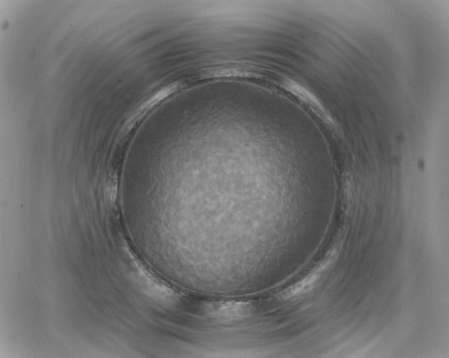 X0000066520841200603241334